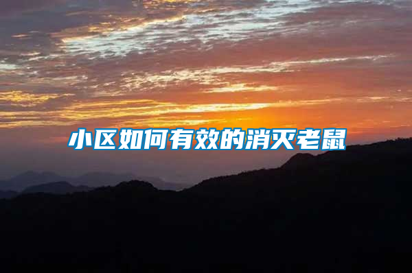 小區如何有效的消滅老鼠
