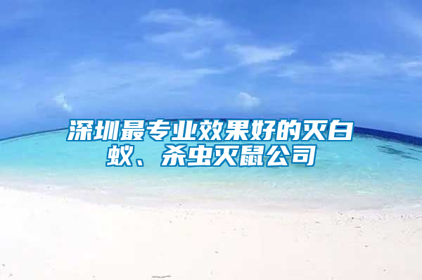 深圳最專業效果好的滅白蟻、殺蟲滅鼠公司