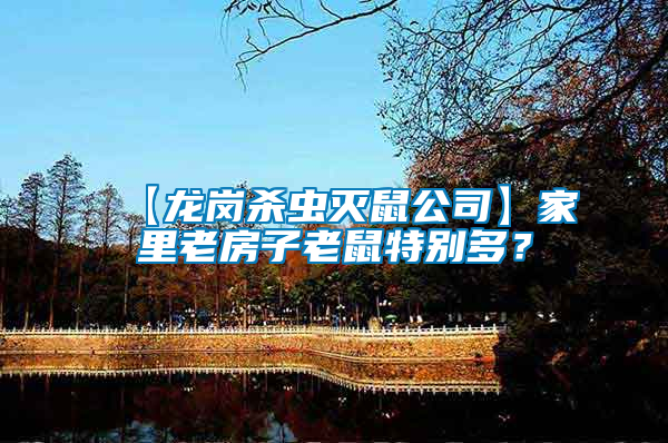 【龍崗殺蟲滅鼠公司】家里老房子老鼠特別多？