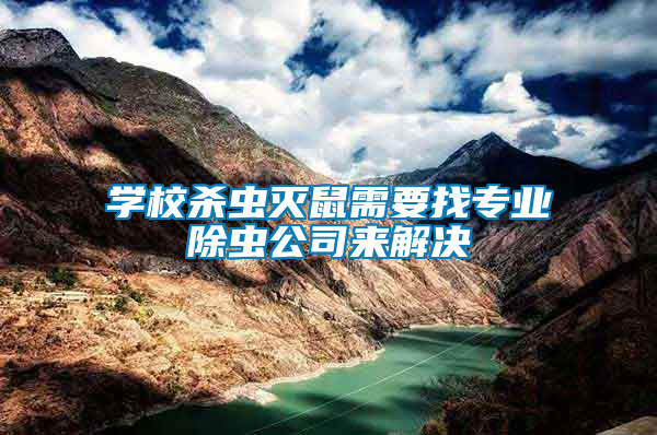 學校殺蟲滅鼠需要找專業(yè)除蟲公司來解決