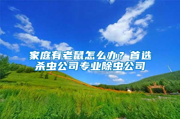 家庭有老鼠怎么辦？首選殺蟲公司專業除蟲公司