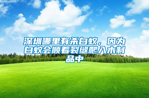 深圳哪里有殺白蟻，因為白蟻會順著裂縫爬入木制品中