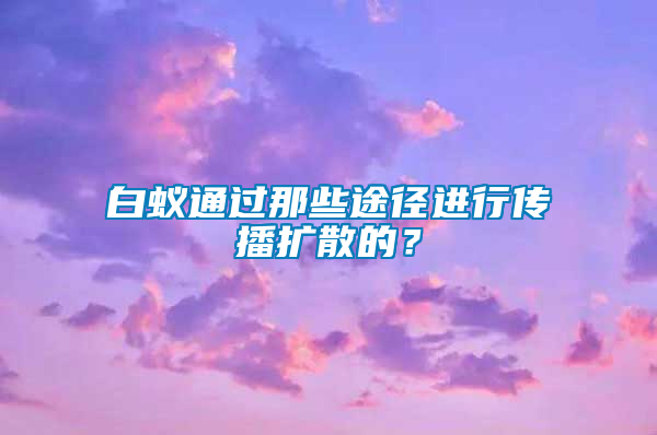 白蟻通過那些途徑進行傳播擴散的？