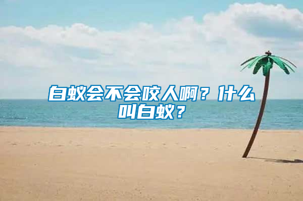 白蟻會(huì)不會(huì)咬人??？什么叫白蟻？