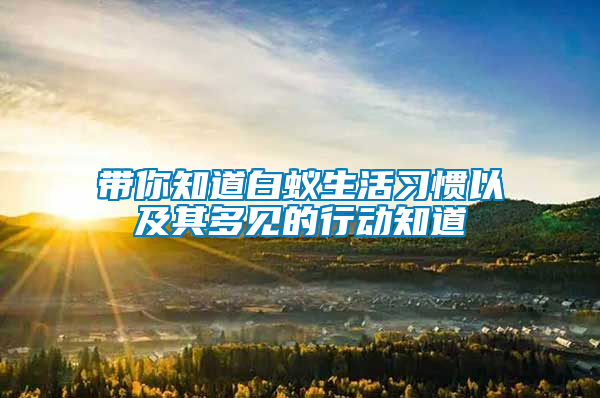 帶你知道白蟻生活習(xí)慣以及其多見的行動知道
