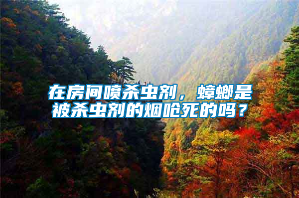 在房間噴殺蟲劑，蟑螂是被殺蟲劑的煙嗆死的嗎？