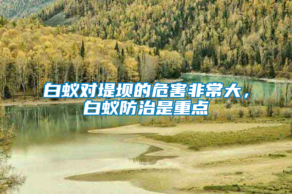 白蟻對(duì)堤壩的危害非常大，白蟻防治是重點(diǎn)