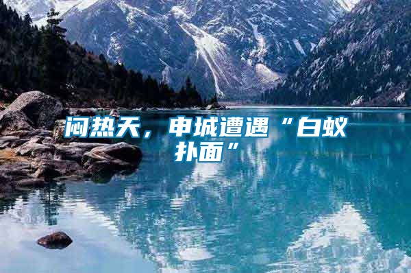 悶熱天，申城遭遇“白蟻撲面”