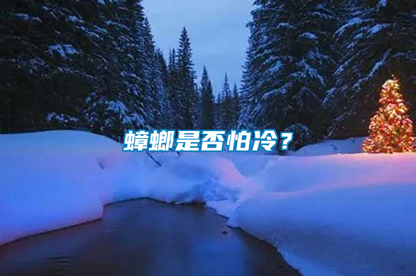 蟑螂是否怕冷？