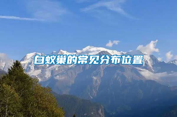 白蟻巢的常見(jiàn)分布位置