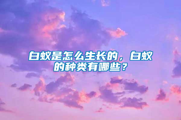 白蟻是怎么生長(zhǎng)的，白蟻的種類有哪些？