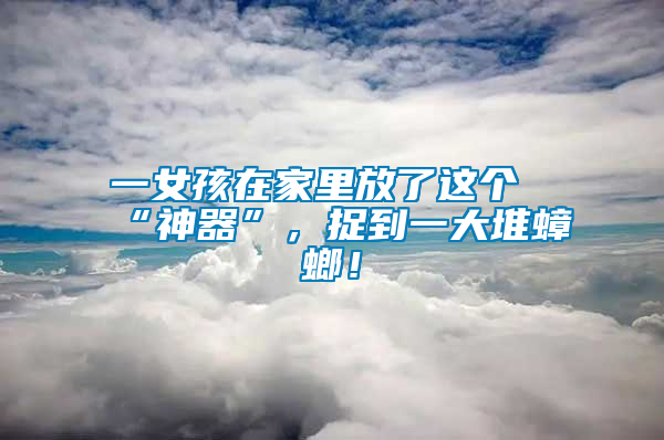 一女孩在家里放了這個“神器”，捉到一大堆蟑螂！