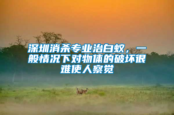 深圳消殺專業(yè)治白蟻，一般情況下對物體的破壞很難使人察覺