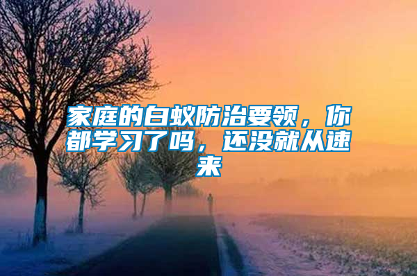 家庭的白蟻防治要領，你都學習了嗎，還沒就從速來