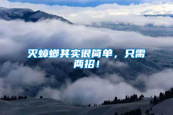 滅蟑螂其實很簡單，只需兩招！