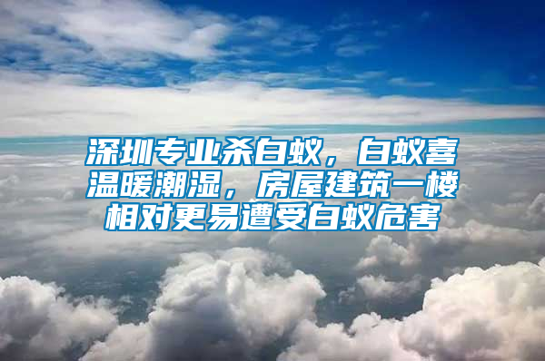 深圳專業(yè)殺白蟻，白蟻喜溫暖潮濕，房屋建筑一樓相對更易遭受白蟻危害