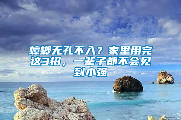 蟑螂無孔不入？家里用完這3招，一輩子都不會見到小強