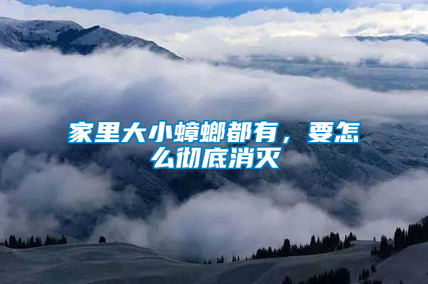 家里大小蟑螂都有，要怎么徹底消滅