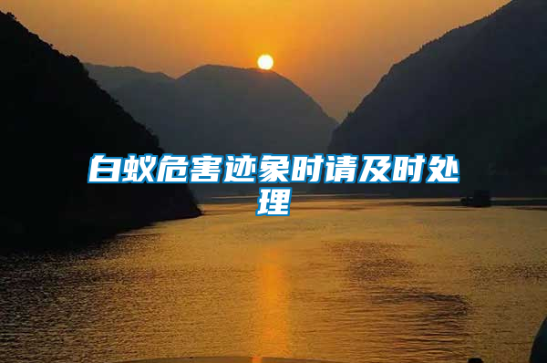 白蟻危害跡象時(shí)請及時(shí)處理