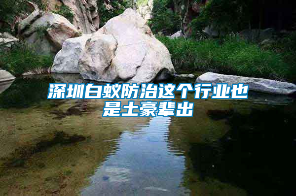 深圳白蟻防治這個行業也是土豪輩出
