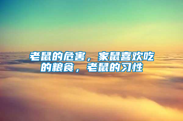 老鼠的危害，家鼠喜歡吃的糧食，老鼠的習性
