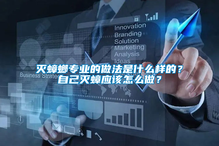 滅蟑螂專業的做法是什么樣的？自己滅蟑應該怎么做？