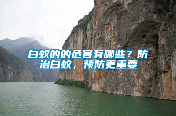 白蟻的的危害有哪些？防治白蟻，預防更重要