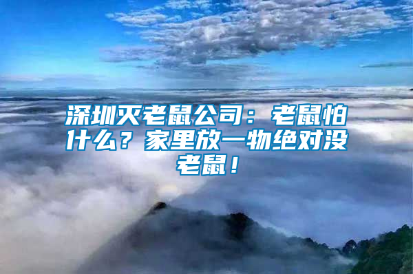 深圳滅老鼠公司：老鼠怕什么？家里放一物絕對沒老鼠！