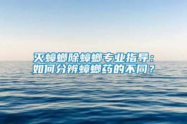 滅蟑螂除蟑螂專業指導：如何分辨蟑螂藥的不同？