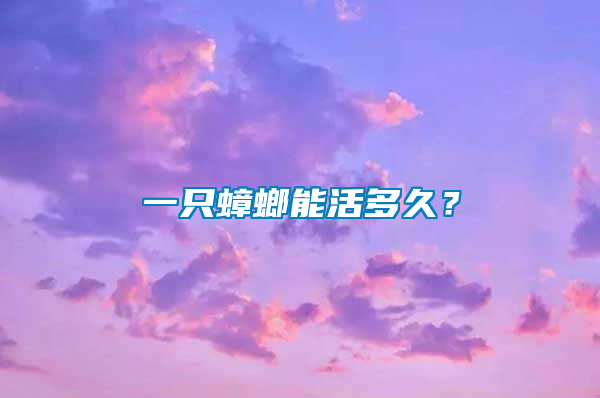一只蟑螂能活多久？