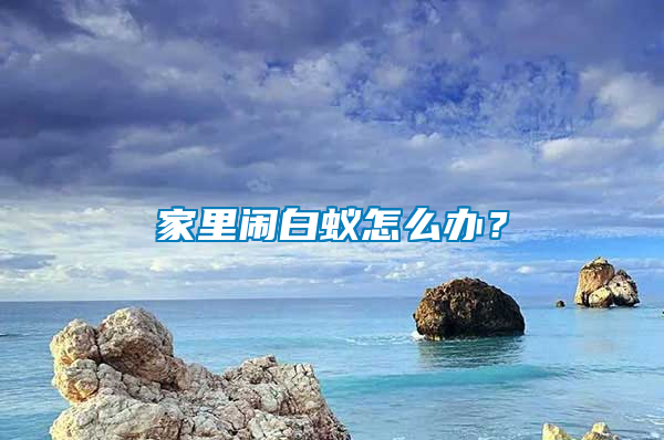 家里鬧白蟻怎么辦？