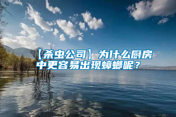 【殺蟲公司】為什么廚房中更容易出現(xiàn)蟑螂呢？