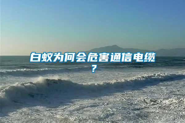 白蟻為何會(huì)危害通信電纜？
